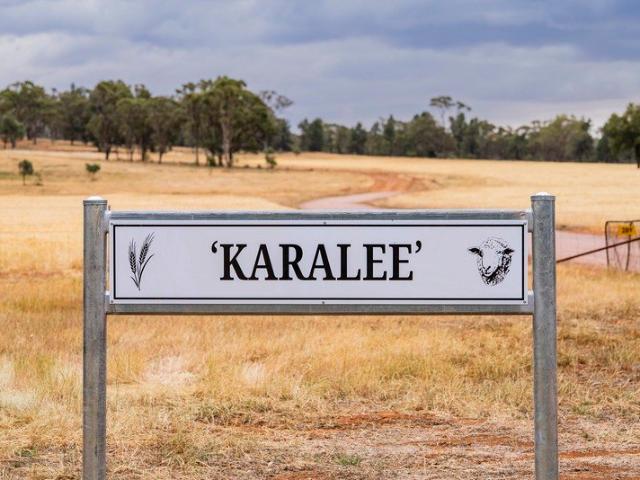 Karalee Scale & Versatility