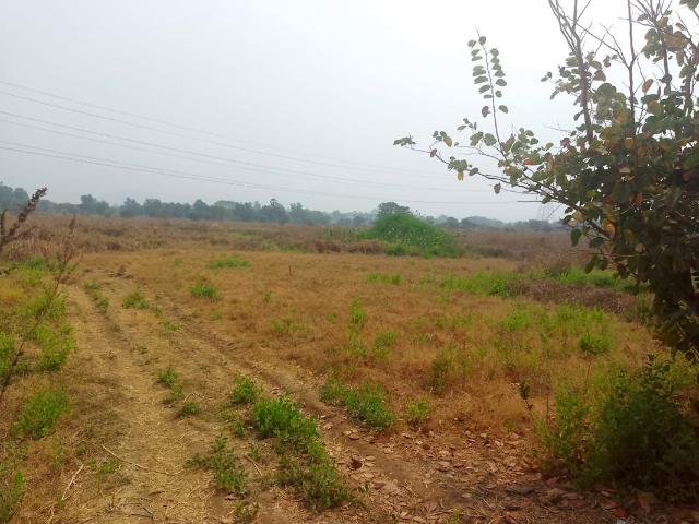 Karjat, Raigad Commercial Land 1089 Sq. Ft. in Karjat Navi Mumbai Listing ID: #10336