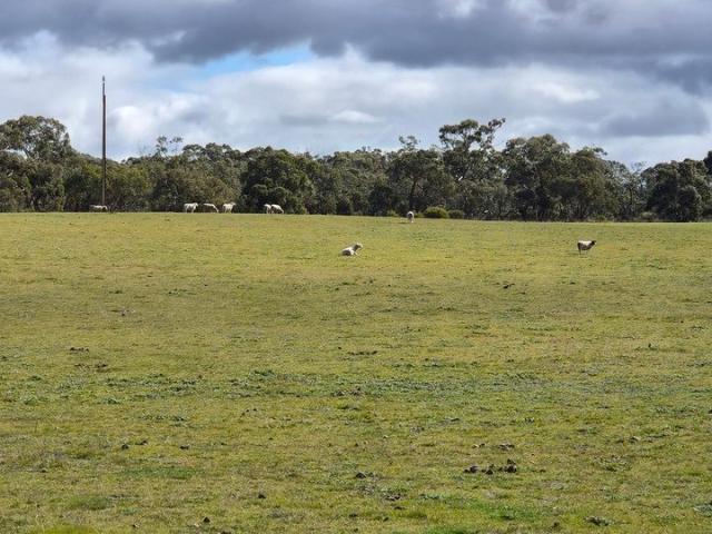 Karkarook Approximately 850 Acres* of Bangham Grazing Country