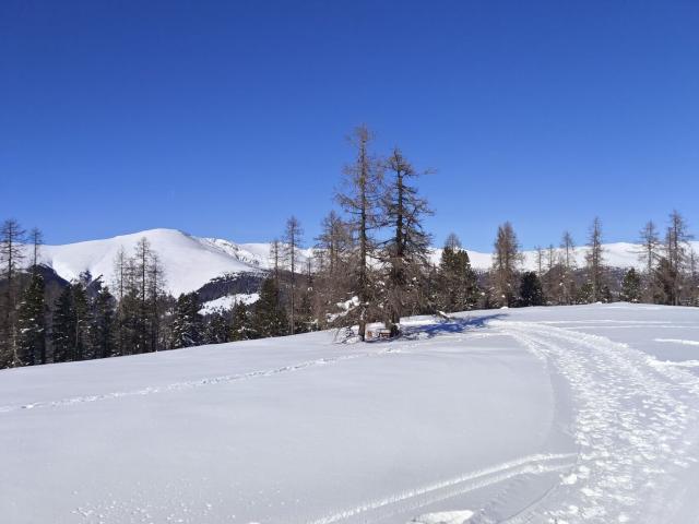 Kärnten: Hochrindl Nähe Turracher Höhe: Schneesicherheit auf Über 1600 Meter! Zweitwohnsitz! Erstbezug! Honorarfrei Für Käufer: Innen!