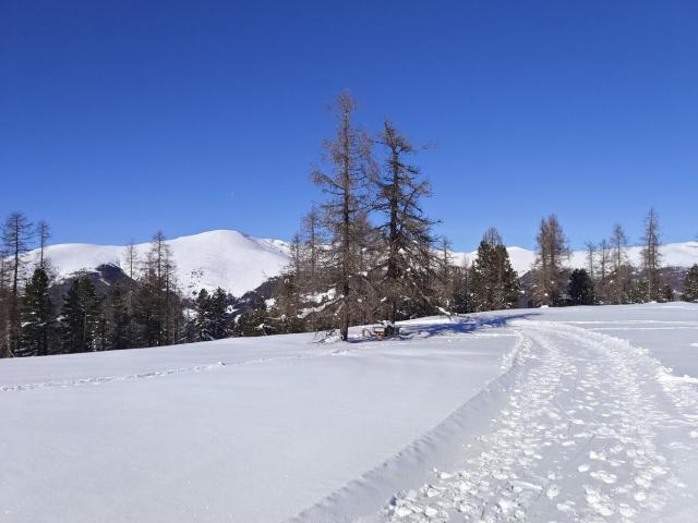 Kärnten: Hochrindl Nähe Turracher Höhe: ihr Privates Wintermärchen: Alpines Wohnen mit Zweitwohnsitz! Honorarfrei Für Käufer: Innen!