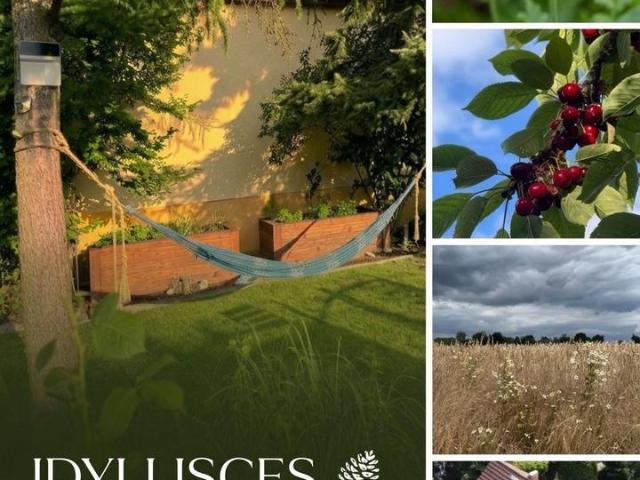 Karow Einfamilienhaus: Sonne +Garten keine Provision