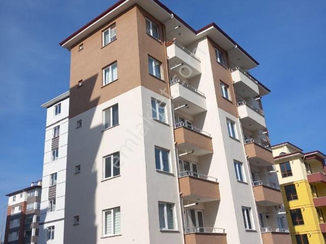 Kastamonu Merkez Kuzeykent Mh. Ünv. Yakını Yeni Eşyalı 1+1