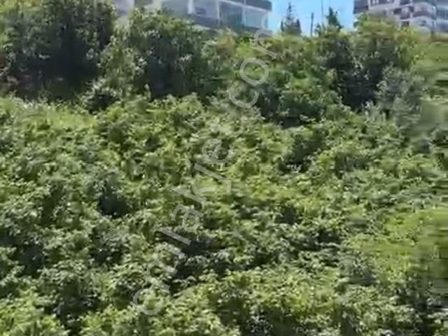 Kasüstü Merkezde Satılık Esyalı Daıre