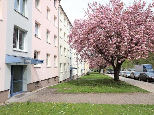 Kaßberg! Zentral gelegene 3 Zimmer Wohnung
