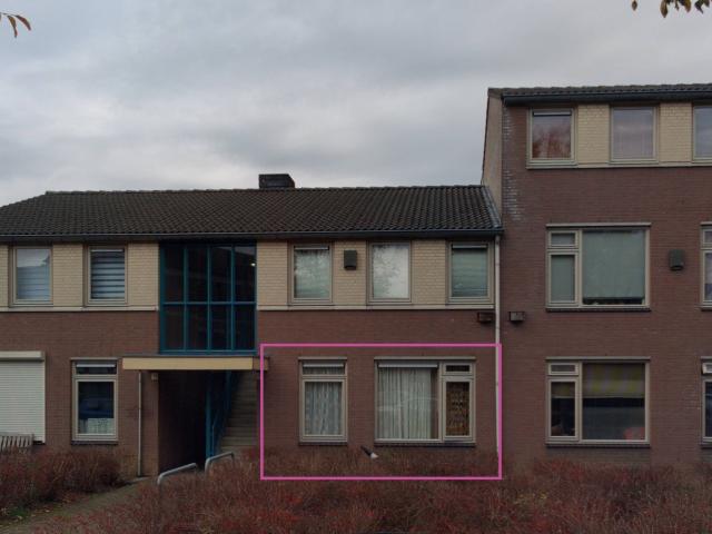 Kattedoorn 25
