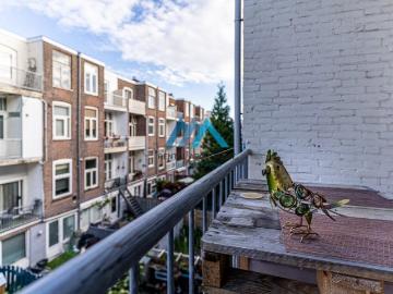 Belgisch Park, Den Haag, Zuid-Holland