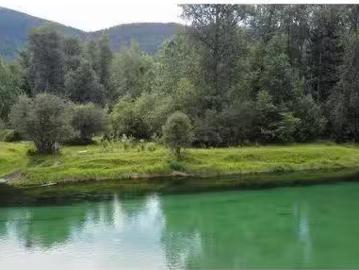 Katelnikoff Road Lot# 89, Appledale, BC, V0G 1C0 vacant land.