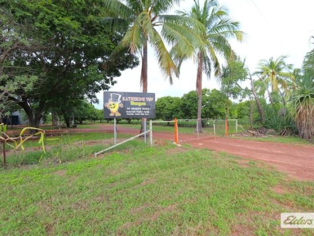KATHERINE TOP MANGOES FAMILY FARM on the outskirt of Katherine