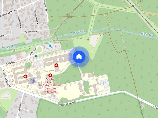 Katowice, Murcki/Ochojec, dom, do wynajęcia