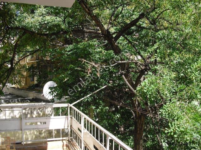 Kavaklıdere Büklüm Sokak'da 2+1 Kiralık Daire