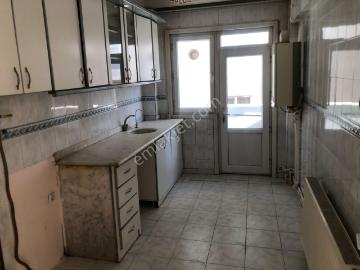 Mehmetçik Sokak, Kavaklık Mah , Kavaklık Mahallesi, Gaziantep, Şahinbey, Kilis ili, Güneydoğu Anadolu Bölgesi