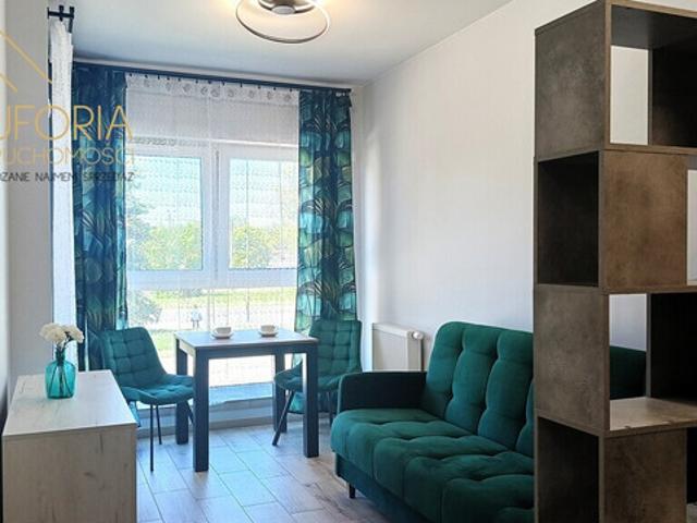 Kawalerka do wynajęcia