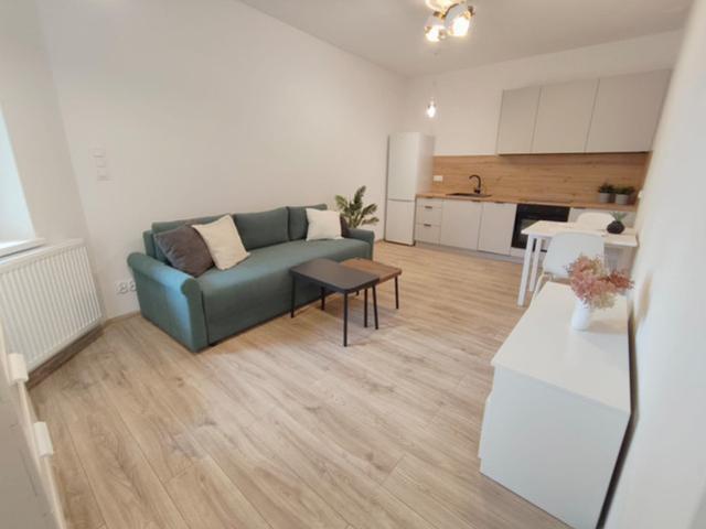 Kawalerka do wynajęcia, Bytom Śródmieście Piłsudskiego, 1650 PLN, 30 m2, domy 109