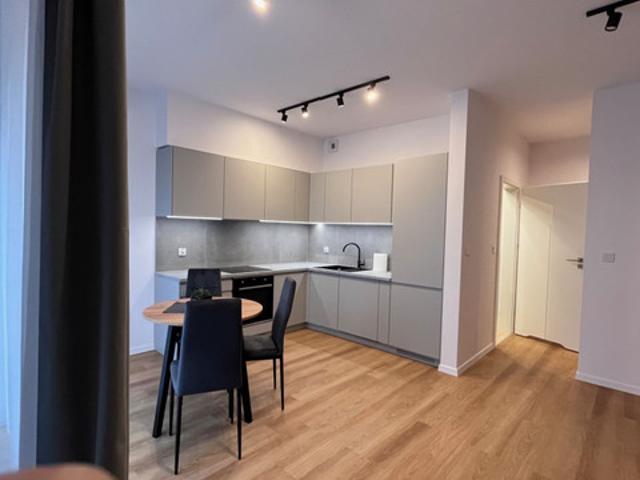 Kawalerka do wynajęcia, Katowice Ligota Panewniki Książęca, 1950 PLN, 32 m2, domy 888