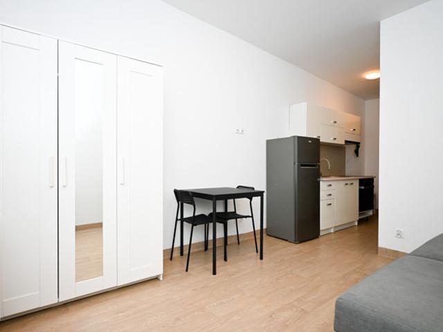 Kawalerka do wynajęcia, Kraków Czyżyny Łęg Centralna, 1900 PLN, 20 m2, domy 247