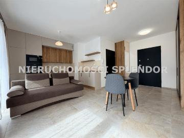Kawalerka do wynajęcia, Kraków M. Kraków Podgórze Bonarka Przyjaźni Polsko Węgierskiej, 2300 PLN, 31 m2, domy SPD MW 17909