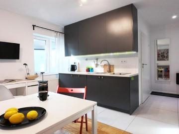 Kawalerka do wynajęcia, Kraków Stare Podgórze Rejtana, 1950 PLN, 20 m2, domy KRA MW 6289