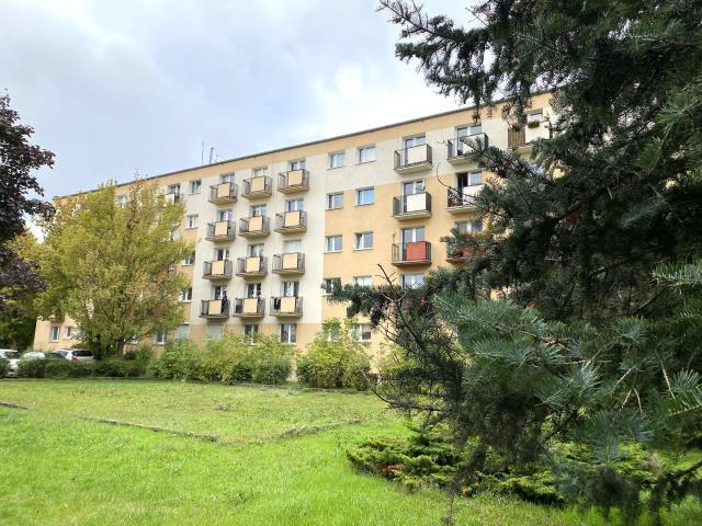 Kawalerka do wynajęcia