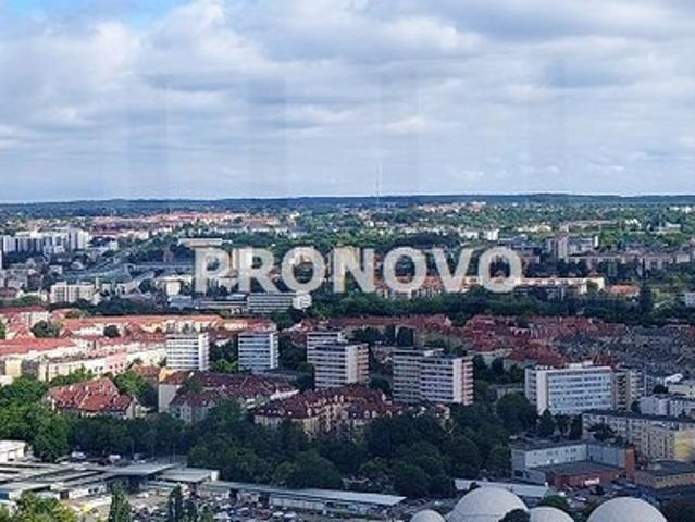 Kawalerka do wynajęcia