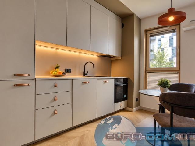 Kawalerka do wynajęcia, Poznań M. Poznań Jeżyce, 2900 PLN, 32,5 m2, domy EDO MW 5913