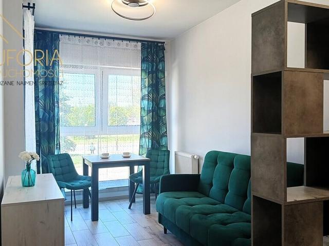 Kawalerka do wynajęcia, Łódź al. 1 Maja, 2300 PLN, 29 m2, domy 163/15831/OMW