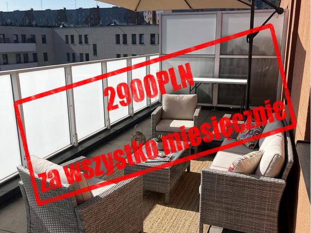 Kawalerka do wynajęcia