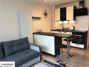 Kawalerka do wynajęcia, Gliwice Centrum Kozielska, 1850 PLN, 27 m2, domy 19800949