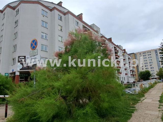 Kawalerka na Gocławiu Warszawa, Gocławek