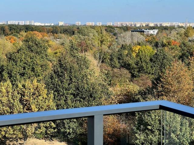 Wynajmę mieszkanie w bloku mieszkalnym 27 m² wysoki standard ul. Meissnera, Poznań, Ogrody