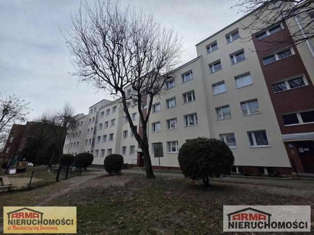 Kawalerka na Starym Mieście, 24 m2, piwnica, od zaraz