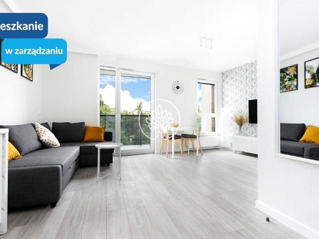 Kawalerka w nowym budownictwie przy Kanale Byd Bydgoszcz, Wilczak