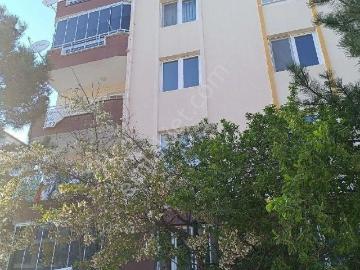 Merzifon, Amasya ili, Karadeniz Bölgesi
