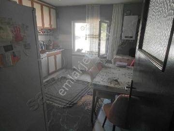 Aşağısöğütönü, Eskişehir, Eskişehir ili, İç Anadolu Bölgesi