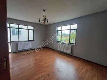 Saray, Tekirdağ, Tekirdağ ili, Marmara Bölgesi