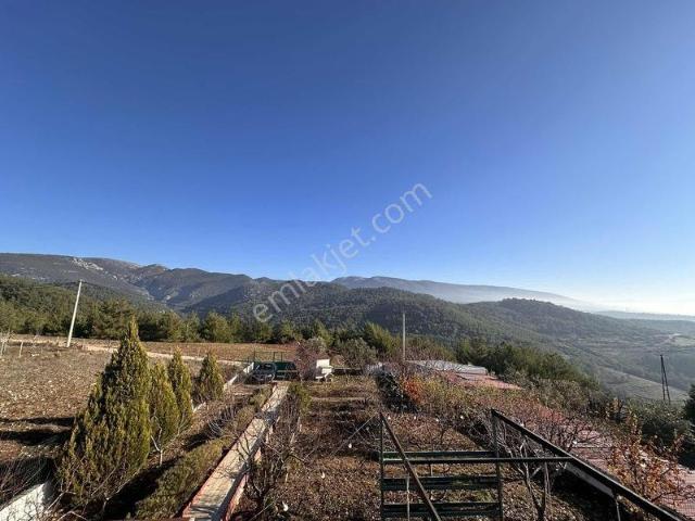 Kemalpaşa Kuyucak Satılık 2095m2 Arsa İçinde Müstakil Ev