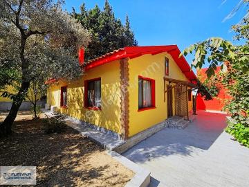 Yukarı Kızılca, Kemalpaşa, Kemalpaşa, İzmir, İzmir ili, Ege Bölgesi