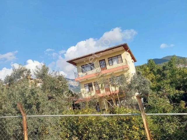 Kendı Bahçenızde Doğal Yaşamın Keyfını Çıkarın