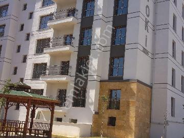 Şelale Sokak, Tandoğan Mah , Tandoğan Mah , Tandoğan Mahallesi, Sincan, Ankara ili, İç Anadolu Bölgesi