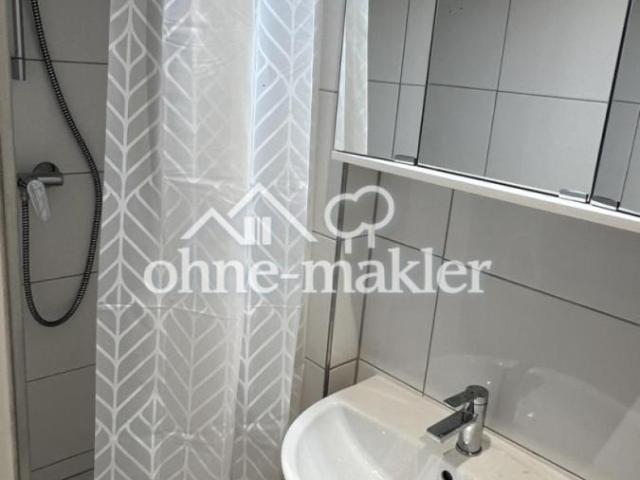 Kernsanierte 1 Zimmer Wohnung mit Potenzial – zentrale Lage Mainz ab 15.08 oder 01.09