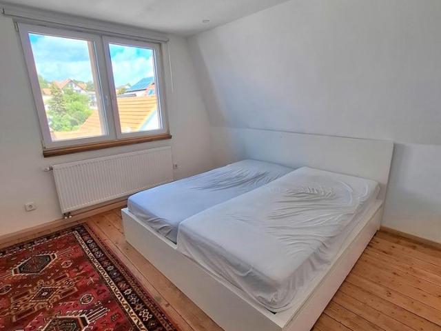 Kernsaniertes EFH in Reinheim