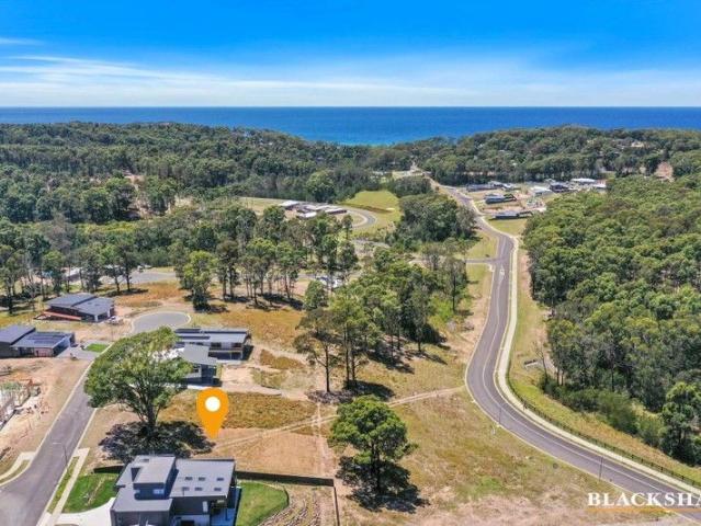 King of the Castle in Coastal Rosedale