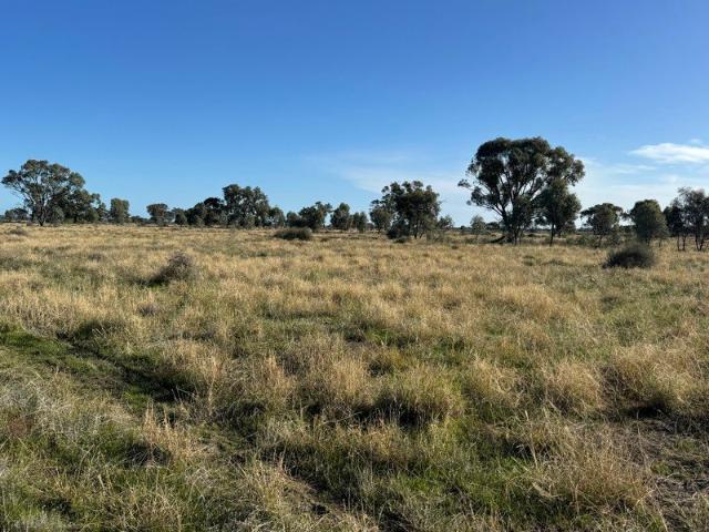 Kings 425Ha/1050Ac Grazing Country