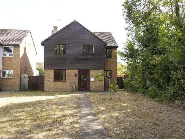 Kingsway, Mildenhall, Bury St. 4 bed detached house to rent £1,730 pcm £399 pw