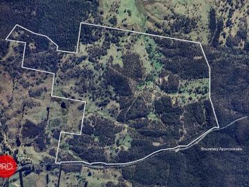 Kowen Forest, Yass Valley, Victoria