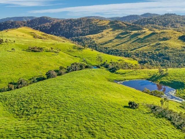 KIAMA | THE CROWN JEWEL OF DALRYMPLE HEIGHTS