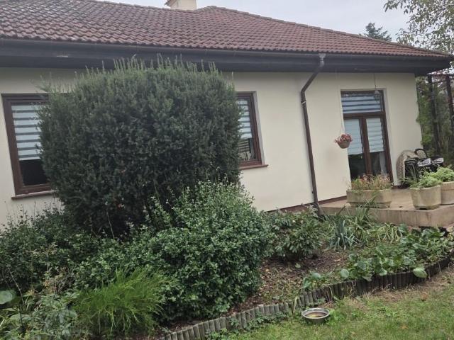 Klimatyczny dom 260 m2 z garażem i dużą działką