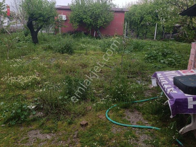 Kiralık Müstakil Ev