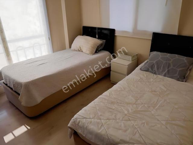 Kiralık 1+1