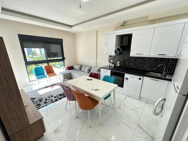 Kiralık 1+1 Daire